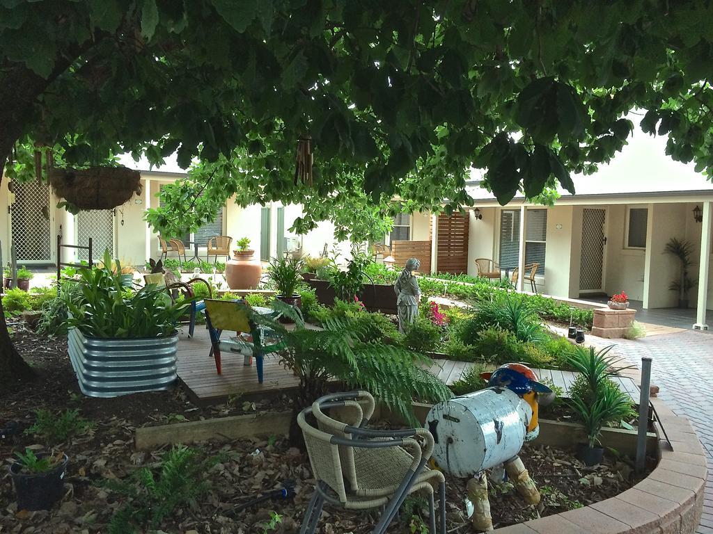 Hahndorf Oak Tree Cottages Room photo